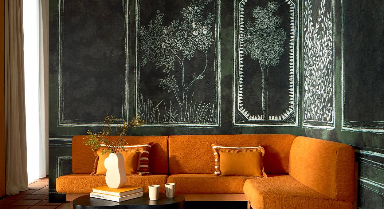 Collection Disegno