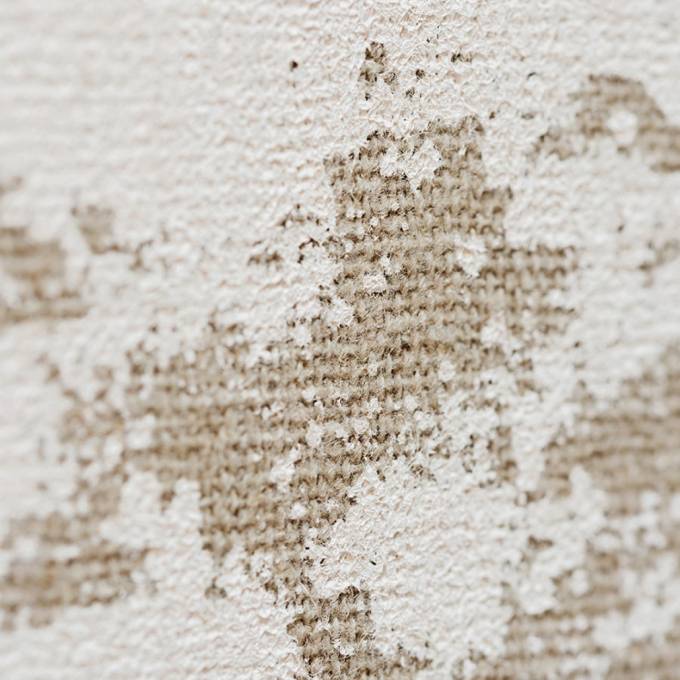 Collection Toile d'artiste