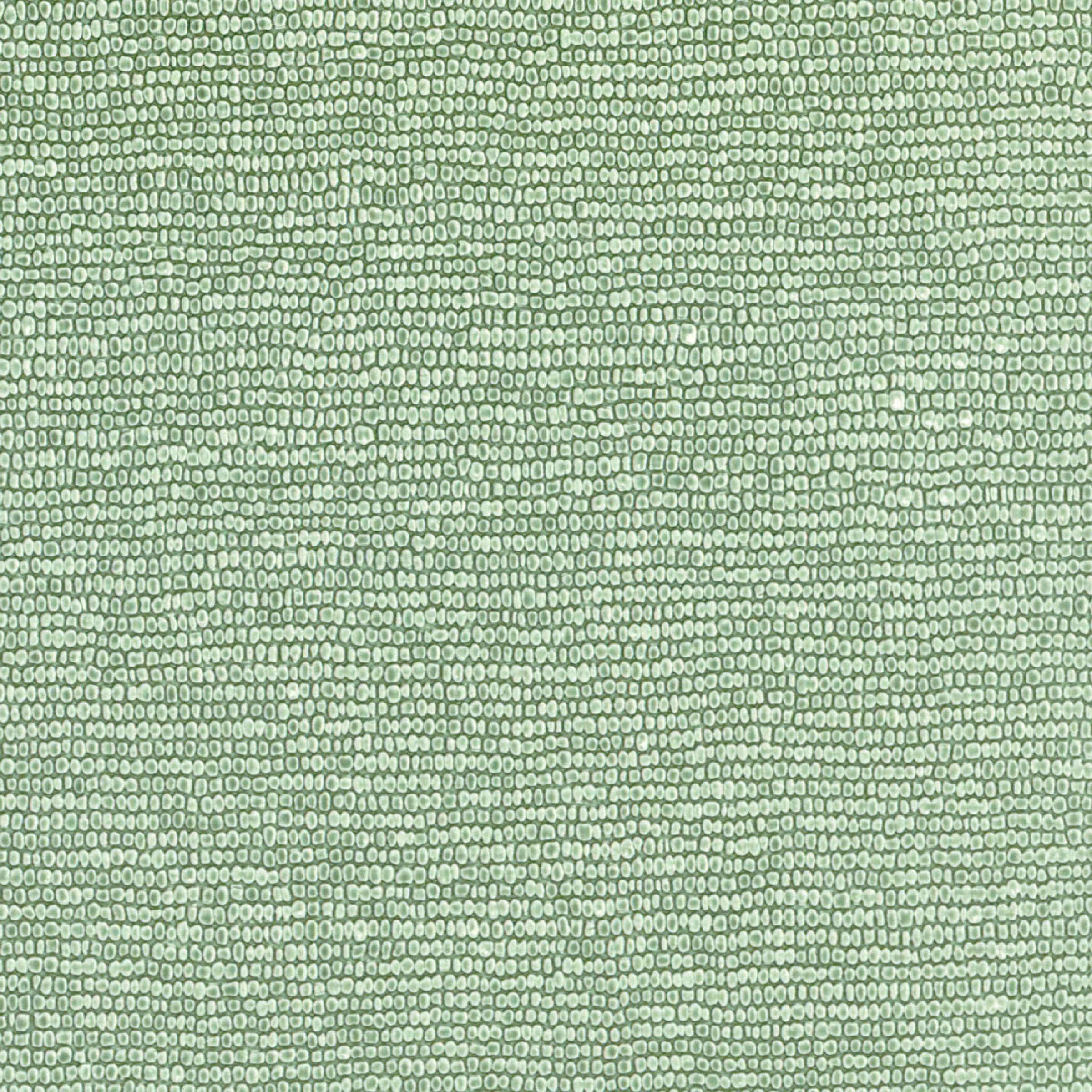 CV 120 42 - Jade