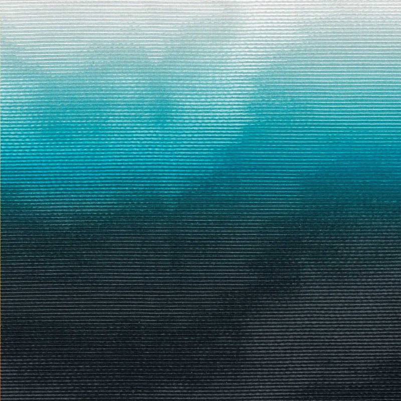 RM 1027 01 - Voyage sur un nuage