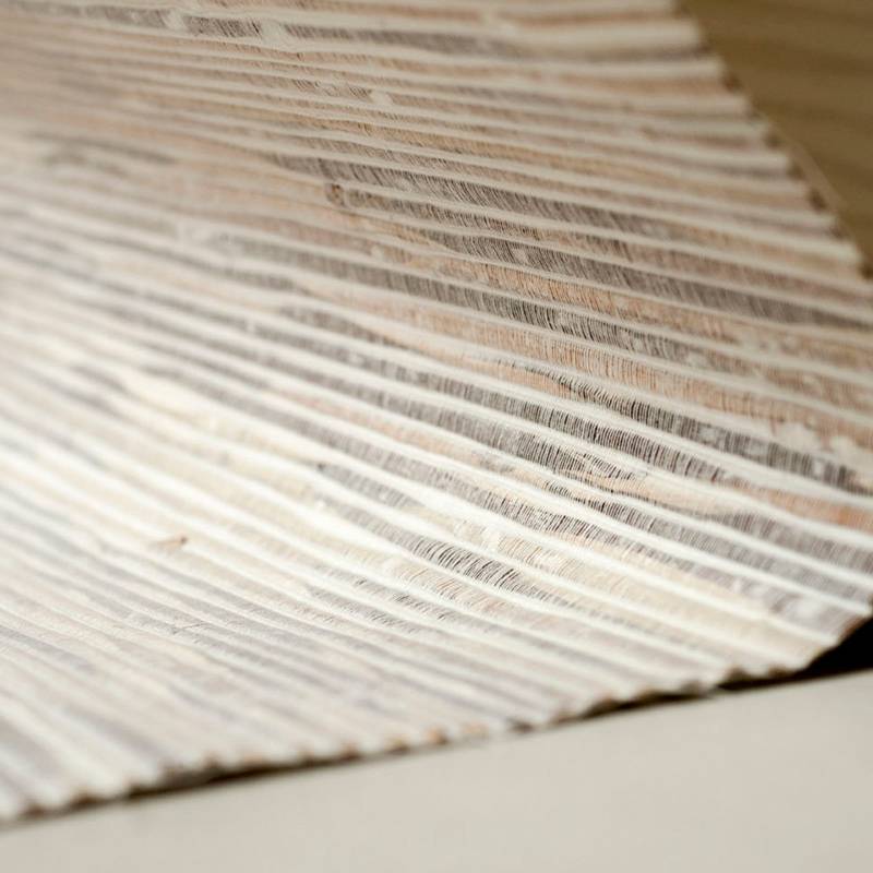 RM 1117 01 - Roseau des rivages 