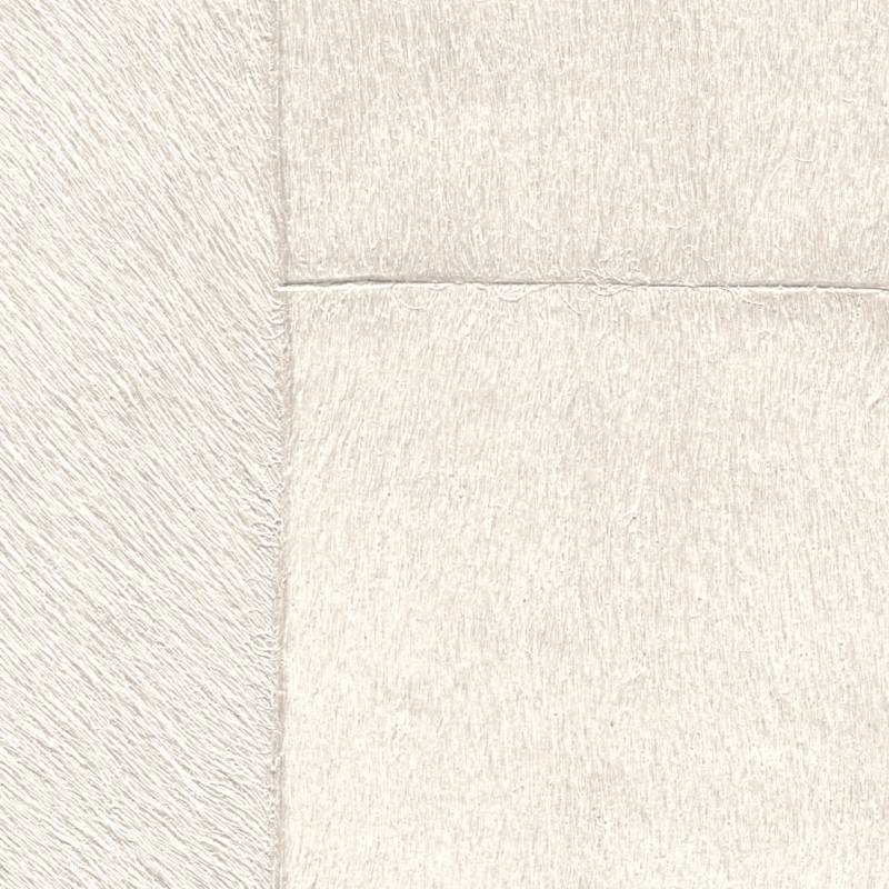 VP 618 01 - L'ours blanc