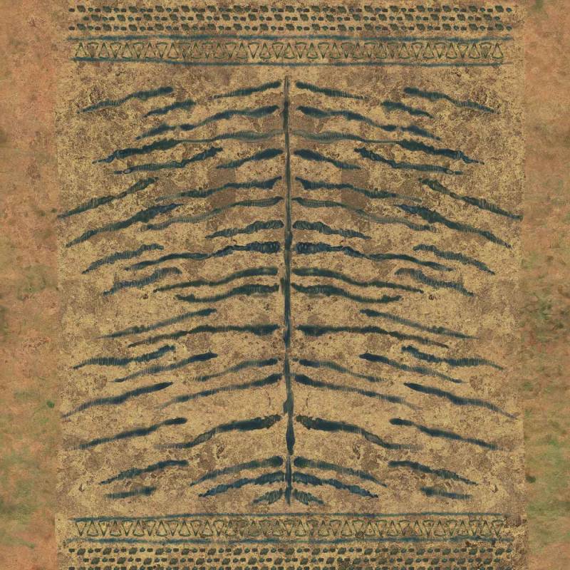 VP 971 01 - Tigre royal